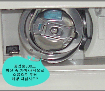 4084 012.jpg