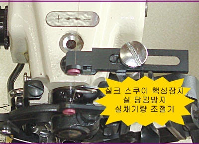 스쿠이인타 013.jpg